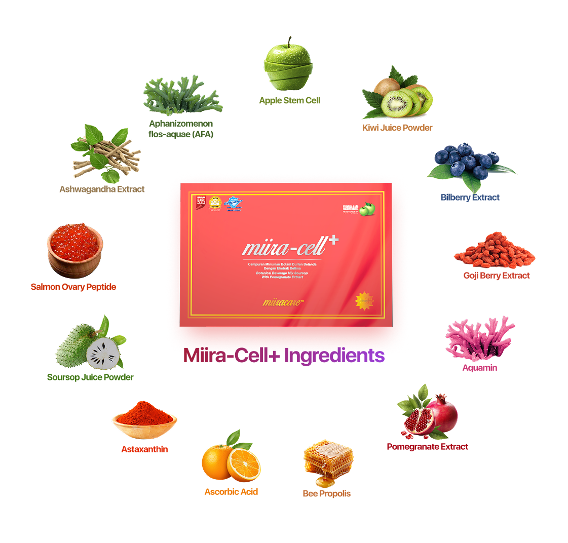 Wellness product — Revookit